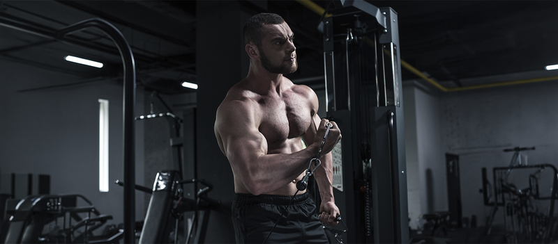Functional Bodybuilding: Build Strength, Muscle, and Better Movement